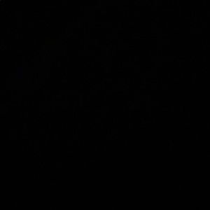 Meet your Posher, Collin